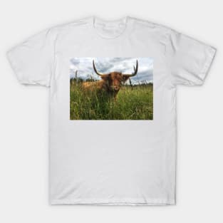 Scottish Highland Cattle Cow 2040 T-Shirt